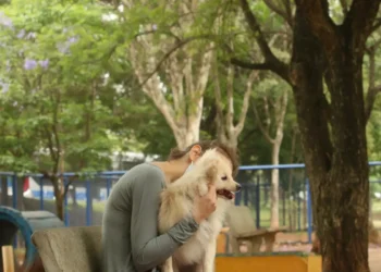 Cade aprova fusão entre Petz e Cobasi com restrições