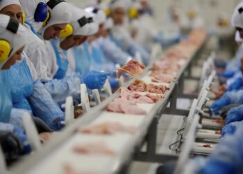 Indústria mantém estabilidade desde abril de 2025, diz IBGE