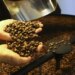 Exportação de café do Brasil cai em 2025, mas bate recorde em receita