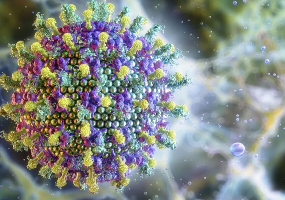 Nipah: saiba mais sobre o vírus que preocupa a Ásia