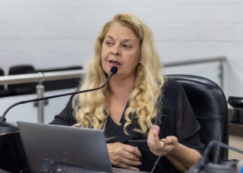 Lu Bogo questiona Prefeitura sobre programa habitacional Vila Dignidade 2