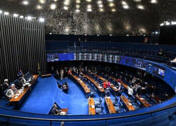 Plenário analisa nesta quarta política de proteção a animais resgatados — Senado Notícias