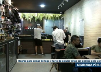 Regras para armas de fogo estão na pauta da Comissão de Segurança Pública — Senado Notícias
