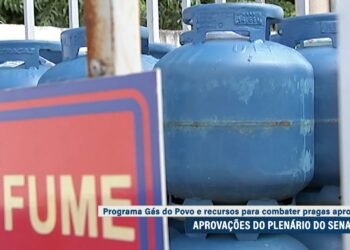 Senado aprova MPs do Gás do Povo e de crédito para combate a pragas — Senado Notícias