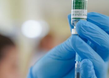 Equipes do SUS começam a receber vacina do Butantan contra a dengue