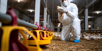 Publicada lei resultante da MP que destina R$ 83,5 mi para sanidade agropecuária — Senado Notícias