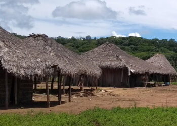 CDH vai analisar inclusão digital de ribeirinhos, quilombolas e indígenas — Senado Notícias