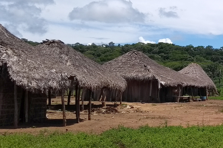 CDH vai analisar inclusão digital de ribeirinhos, quilombolas e indígenas — Senado Notícias