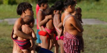 Governo intensifica ações de combate a coqueluche na TI Yanomami