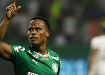 Palmeiras derrota Botafogo e assume liderança do Campeonato Brasileiro