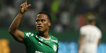 Palmeiras derrota Botafogo e assume liderança do Campeonato Brasileiro