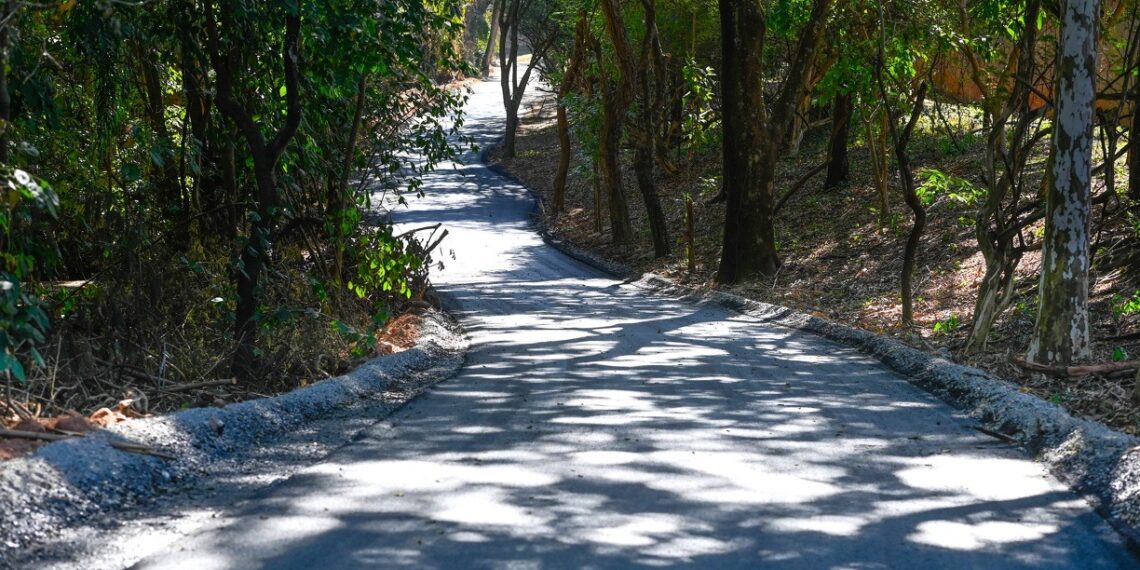 Após chuvas: Campinas fecha parques das regiões Sul, Centro-Leste e Norte