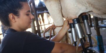 Produção de leite ganha força com políticas públicas em São Paulo