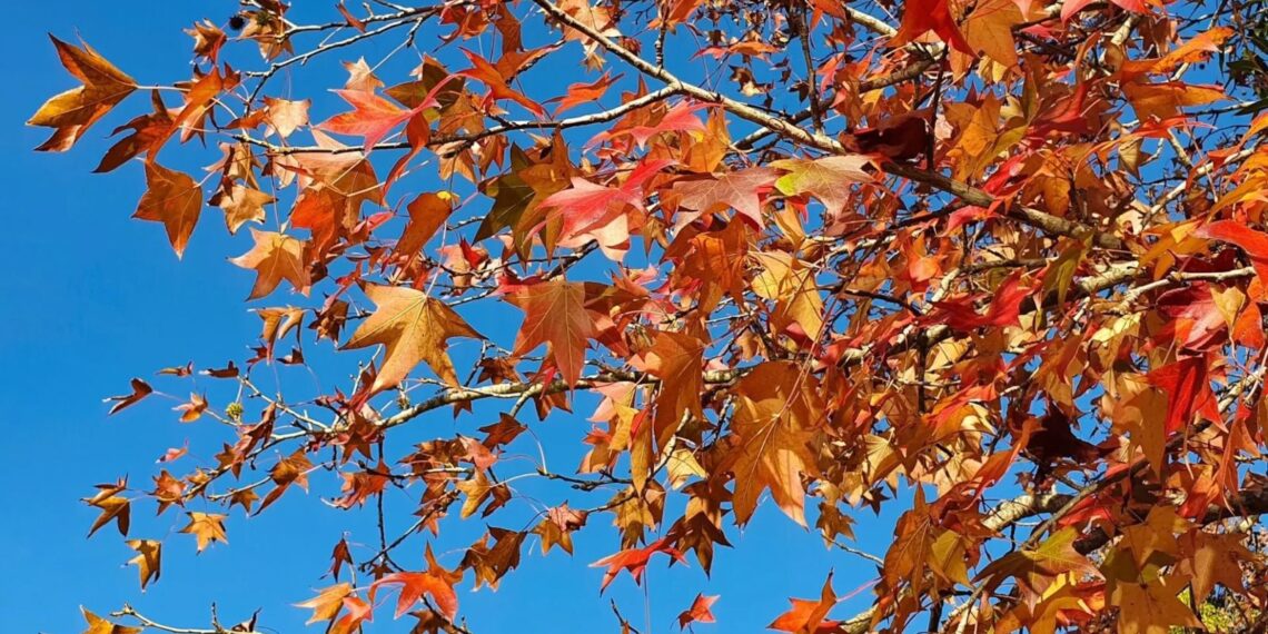 Defesa Civil do Estado alerta para cenário de transição para o outono com calor, umidade e risco de temporais isolados