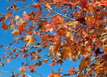 Defesa Civil do Estado alerta para cenário de transição para o outono com calor, umidade e risco de temporais isolados