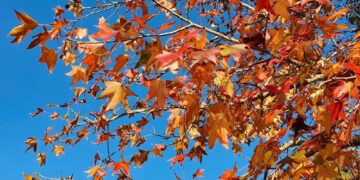 Defesa Civil do Estado alerta para cenário de transição para o outono com calor, umidade e risco de temporais isolados