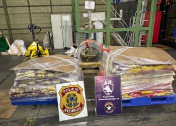 PF apreende 570 kg de cocaína em carga de café em Viracopos