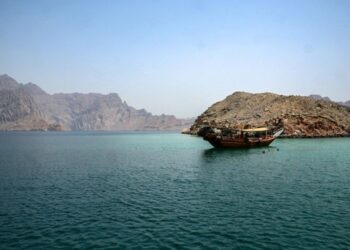 Trump chama aliados de ‘covardes’: ‘Sem os EUA a Otan é um tigre de papel’