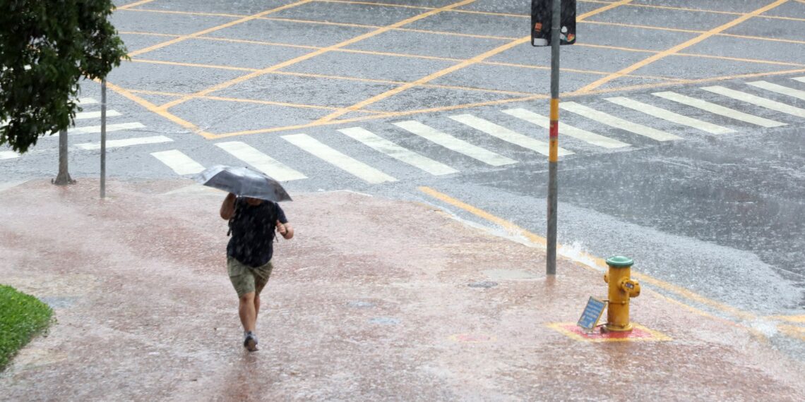 Campinas fecha 11 parques e a Mata de Santa Genebra nesta quinta,, após chuvas de mais de 80mm