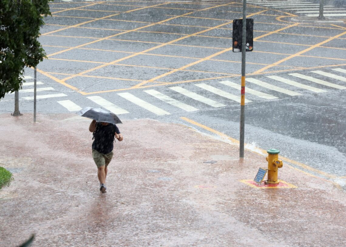 Campinas fecha 11 parques e a Mata de Santa Genebra nesta quinta,, após chuvas de mais de 80mm
