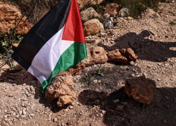 ONU pede que Israel suspenda assentamentos na Cisjordânia após deslocamento em massa de palestinos