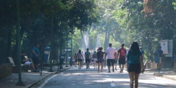 Plano de Manejo é aprovado pelo Condepacc para substituição de árvores no Bosque dos Jequitibás