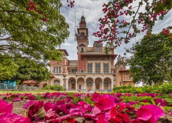 Melhores museus interativos em São Paulo e Rio de Janeiro para ir com crianças
