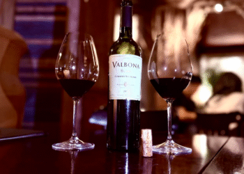 Vinho argentino tradicional e moderno