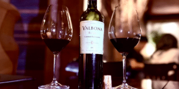 Vinho argentino tradicional e moderno