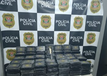 Polícia prende motorista com 225 kg de cocaína em Campinas