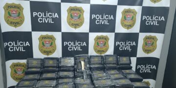 Polícia prende motorista com 225 kg de cocaína em Campinas