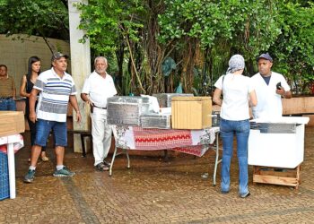 Vereadores de Campinas mudam regras do comércio ambulante
