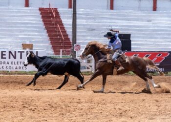 Decisão judicial restabelece restrições ao uso de animais em rodeios em Campinas