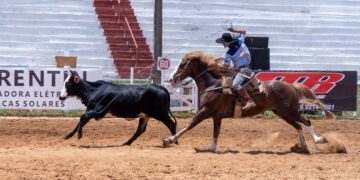 Decisão judicial restabelece restrições ao uso de animais em rodeios em Campinas