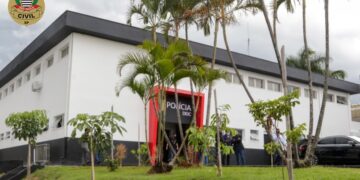 Polícia prende em Campinas mulher condenada a 16 anos de prisão por tentar matar uma mãe para roubar bebê