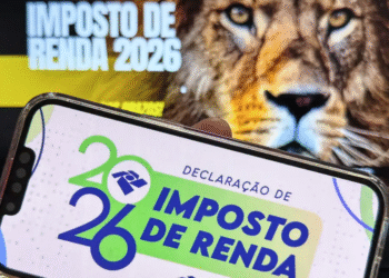 Análise completa da compensação de prejuízo na bolsa e normas para o imposto de renda 2026