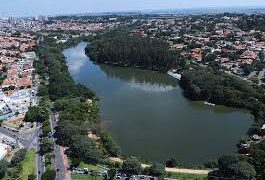 Cisne avaliado em R$ 15 mil desaparece da Lagoa do Taquaral e polícia investiga furto