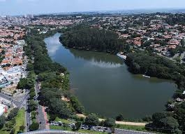 Cisne avaliado em R$ 15 mil desaparece da Lagoa do Taquaral e polícia investiga furto