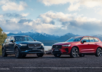 Prazos de manutenção e ficha técnica dos fluidos lubrificantes de motor