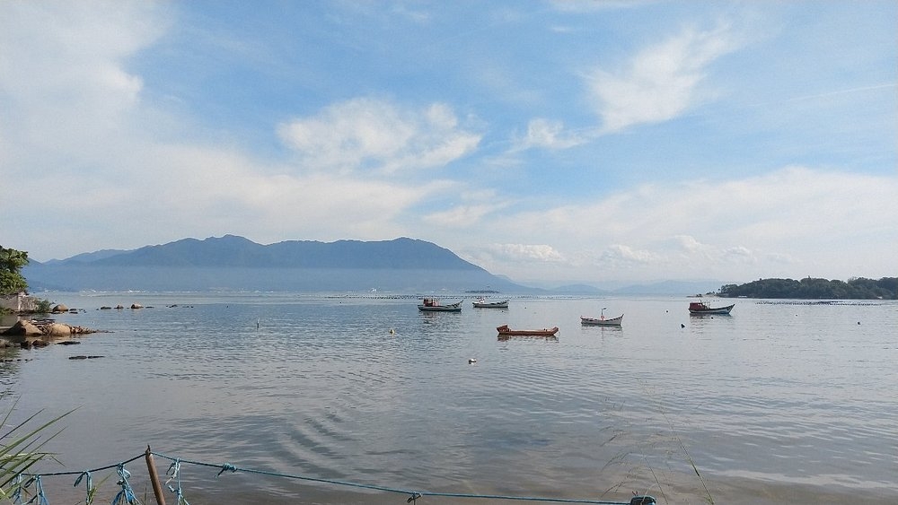 Onde comer ostras em Florianópolis: roteiro do Ribeirão da Ilha