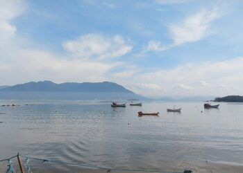 Onde comer ostras em Florianópolis: roteiro do Ribeirão da Ilha
