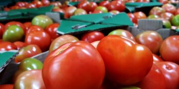 Cesta básica sobe 7,81% em março em Campinas puxada pelo tomatedar