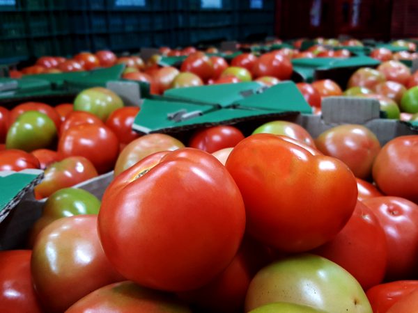 Cesta básica sobe 7,81% em março em Campinas puxada pelo tomatedar