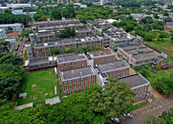 Unicamp aprova cinco novas graduações, incluindo IA e Relações Internacionais, a partir de 2027