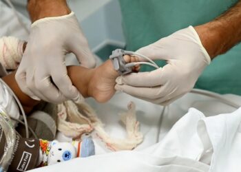Campinas supera meta e atende mais de 44% dos bebês SUS na primeira semana de vida