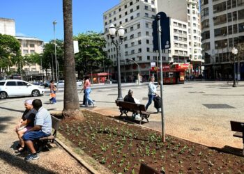 Festival do Rádio e da TV Paulista em Campinas tem apoio da Pan News e será neste sábado