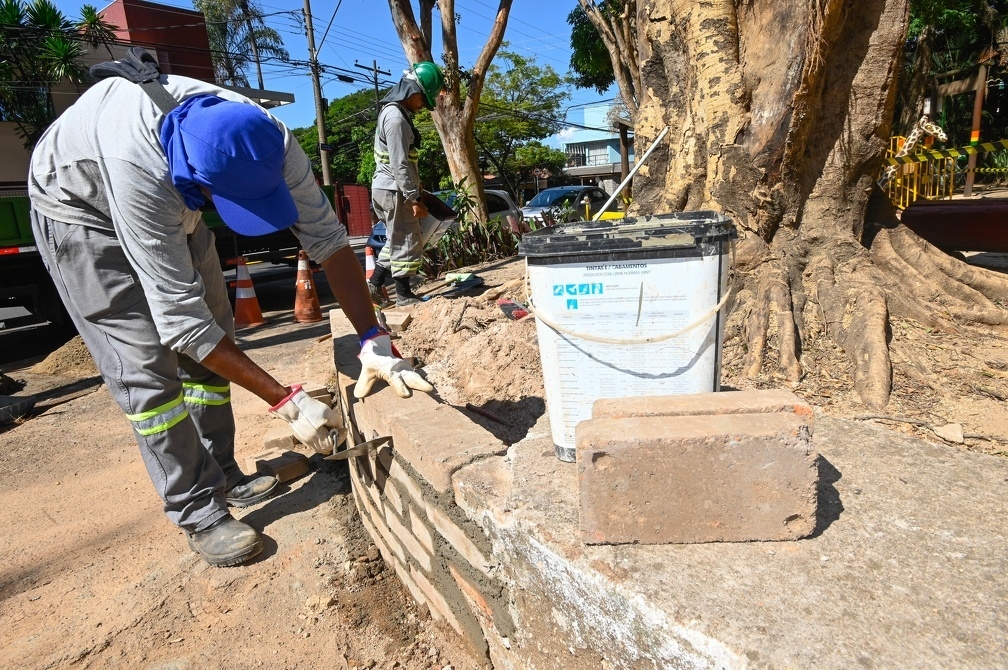 Laudo da Esalq confirma necessidade de retirada de árvores da Praça do Coco em Campinas; Condema contesta