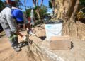 Laudo da Esalq confirma necessidade de retirada de árvores da Praça do Coco em Campinas; Condema contesta