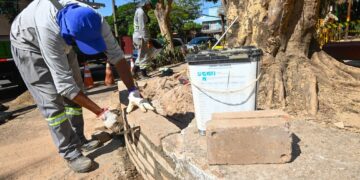 Laudo da Esalq confirma necessidade de retirada de árvores da Praça do Coco em Campinas; Condema contesta