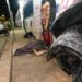 Operação Inverno bate recorde em Campinas com 709 abordagens e 1.213 cobertores em uma semana